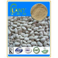 Factory supply pure natural plant extracts extracts White kidney bean extract